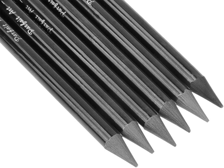 6 PCS Professional Woodless Charcoal Pencil Artist Sketching Drawing Pencil Graphite Sketch Pencils Charcoal Sticks Art Pencil Set for Drawing Shading Sketching 6 Grades of Graphite HB 2B 4B 6B 8B EE